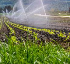 H2Agro, limita lo spreco d’acqua nelle coltivazioni 