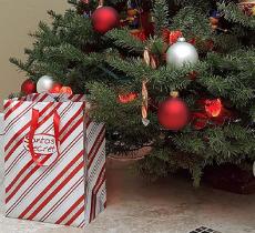 Come annaffiare l’albero di Natale, il sistema “travestito” da regalo