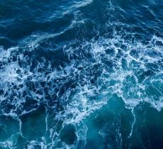 Dipingere l’Acqua: Mostra Pittorica a Tema Acqua a Milano – In a Bottle