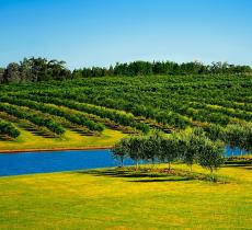 Anil Jain e l’ottimizzazione delle risorse idriche in agricoltura – In a Bottle