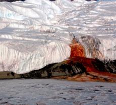 Antartide: svelato il mistero del ghiacciaio Taylor 