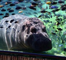 I bioparchi italiani più belli da visitare - In a bottle