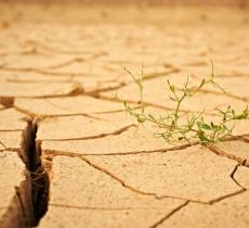 Assorbimento Acqua del Terreno Come Impatta il Cambiamento Climatico – In a Bottle