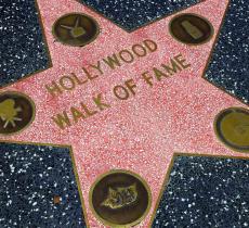 Leonardo DiCaprio, ma anche Pierce Brosnan e tanti altri. Le celebrities hollywoodiane dal cuore “green” - In a Bottle
