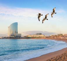 Città fantasma galleggiante al largo di Barcellona fiction o realtà - In a Bottle