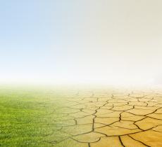 Il Cambio del Clima in Italia tra Piogge e Aumento di Temperatura – In a Bottle