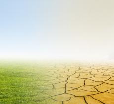 Il Cambio del Clima in Italia tra Piogge e Aumento di Temperatura – In a Bottle