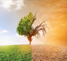 Climate change, per gli europei non è un problema prioritario 