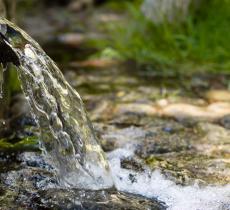 Cosa significa “Water Stewartship”? - In a Bottle