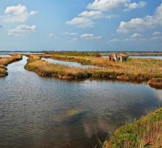 Delta del Po, nuovo tipo di vigilanza ambientale con l’utilizzo di droni - In a Bottle