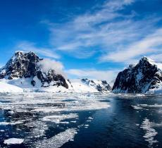 Antartide, scoperti resti fossili di una foresta pluviale - In a Bottle