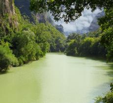 In Brasile l’umidità dell’aria amazzonica viene trasformata in bottiglie d’acqua - In a Bottle