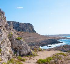 Egadi: la plastica del mare si trasforma in opera d'arte  alt_tag