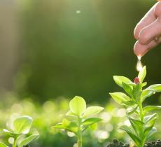 Gestione idrica migliore per aumentare la produzione agricola 