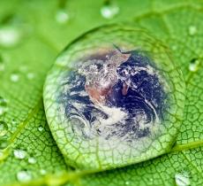 Giornata della Terra, come prendersi cura del Pianeta Giornata della Terra, come prendersi cura del Pianeta