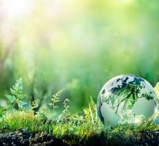 Giornata mondiale dell'Ambiente, l’impegno per abbattere l’inquinamento atmosferico