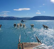 Groenlandia, l’effetto ottico della slitta trainata sull’acqua - In a Bottle