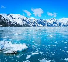 Cambiamenti Climatici e Scioglimento dei Ghiacciai – In a Bottle