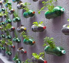 Come riciclare bottiglie di plastica modo creativo