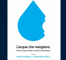 "L'acqua che mangiamo", un libro sulla scarsità della risorsa idrica