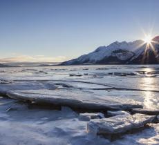 In crociera tra i ghiacciai dall'Alaska a New York 