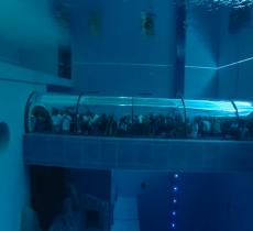 La piscina più profonda del mondo? Si trova in Italia_alt tag