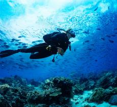 Acquarius Reef Base, l’unico laboratorio sottomarino al mondo che studia la barriera corallina - In a Bottle