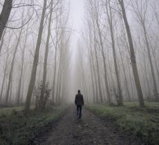 L’acqua pura che nasce dalla nebbia