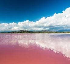 Lago di Colore Rosa: il Lago Retba si Trova in Africa – In a Bottle