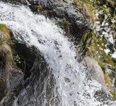 L’importanza di rispettare gli equilibri naturali durante il prelievo dell’acqua - In a Bottle