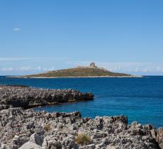 L’Isola delle Femmine è in vendita? Ecco l’idea di quattro artiste, che la vogliono acquistare - In a Bottle