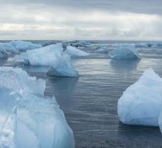 Lo scioglimento della calotta polare ha raggiunto livelli critici 