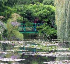 Lo specchio d'acqua ritratto da Monet esiste