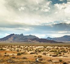 Estrarre Acqua dall’Aria del Deserto Ora si Può – In a Bottle