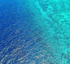 Perché gli oceani sono sempre più acidi?