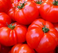 I pomodori crescono con l'acqua di mare in Arabia Saudita