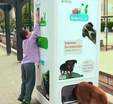 Smart Recycling Boxes for Cats and Dogs | In a Bottle