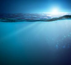 Alto Milanese-Basso Pavese, concluso il progetto “Sul filo dell’Acqua in Lombardia” - In a Bottle