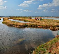 Il trattato di Ramsar e la tutela della biodiversità