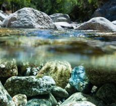 Un Nuovo Guardiano dell’Acqua: Nestlè Waters– In a Bottle