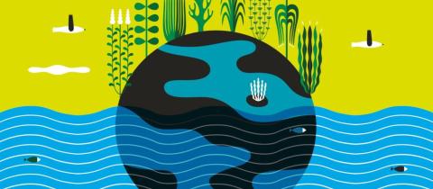 Acqua, città e futuro il Green&Blue Festival 2026 racconta i nuovi equilibri del pianeta