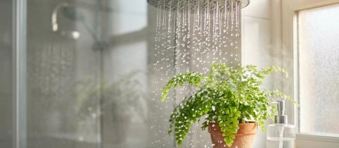 Green Routine come risparmiare acqua in casa con l'arrivo dell'estate