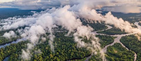 L'Amazzonia, fabbrica d'acqua del pianeta