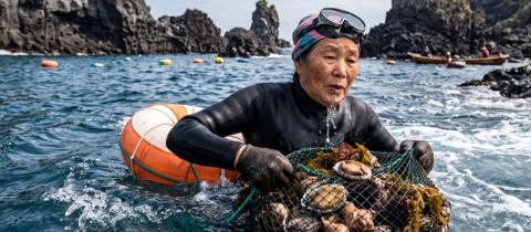 Le donne pescatrici di Jeju storia e tradizioni delle Haenyeo