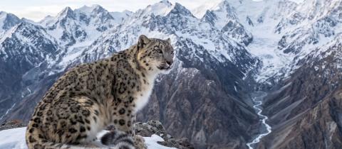 Le montagne che custodiscono l'acqua del futuro
