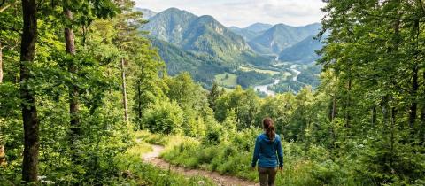 Natura e salute una relazione che (ci) fa bene