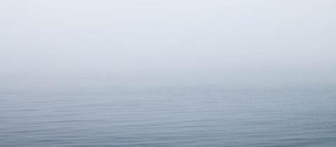 Dalla nebbia all’acqua: la sfida contro la siccità