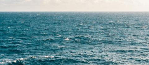 La Giornata Mondiale degli Oceani 2025 per tutelare gli ambienti marini