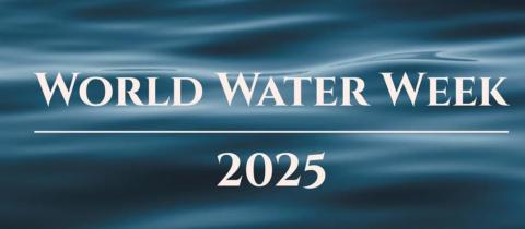 World Water Week: di cosa parla e dove si tiene l’edizione 2025