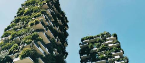 Architettura verde e acqua: progetti che integrano risparmio idrico e bellezza